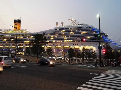 日本要求的入境旅行證件有哪些？