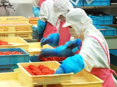 什么是日本技能實習生制度？